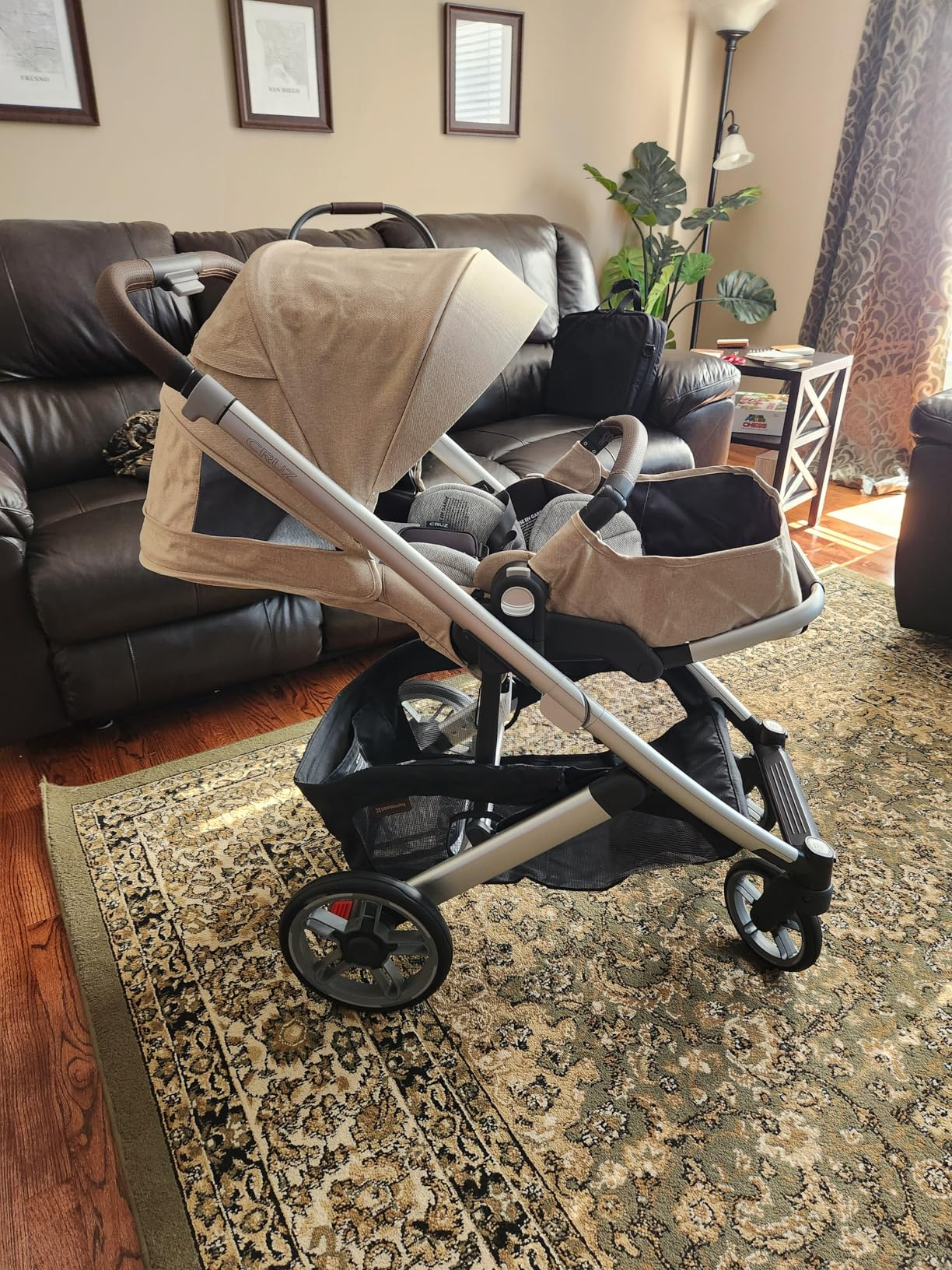 Cruz V3 side view